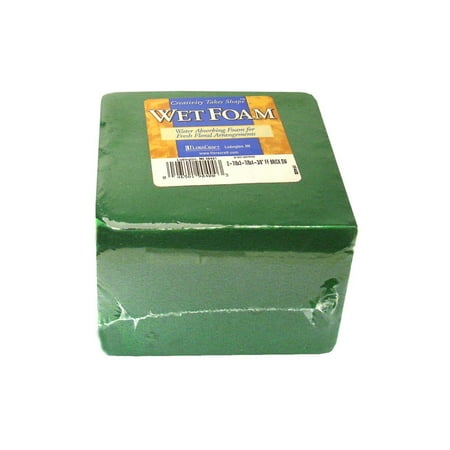 2.93-Inch by 1.93-Inch Floracraft FAD32 Styrofoam Disc Arranger Green